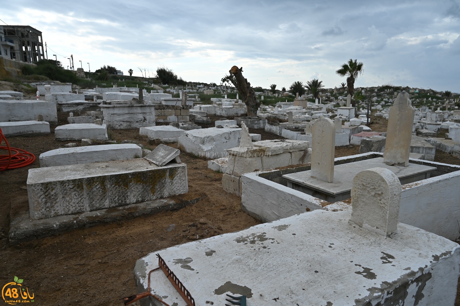 يافا: الاستعداد لصبّ أرضية مقبرة الكازاخانة بعشرات الأطنان من الباطون 
